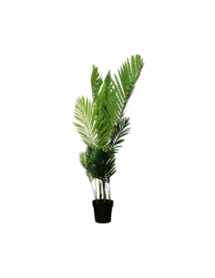 Planta Artificial Palmera Chamado 120 Cm 23985 90318 Greenland