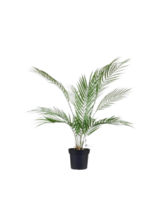 Planta Artificial Palmera Areca 74 Cm 23718 287015 Greenland