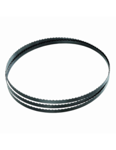 Hoja Para Sierra Sin Fin Tc-sb 305 U 4506158 Einhell