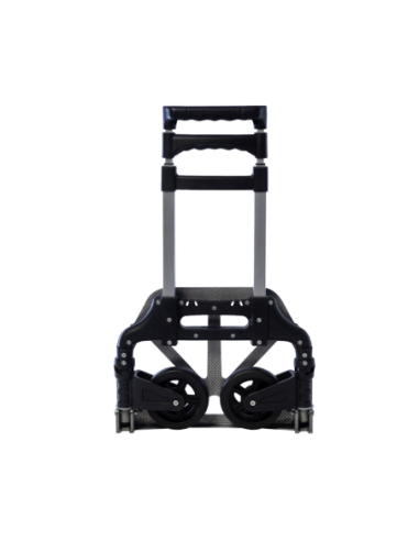 Carro Plegable Hasta 100 Kg Lqc-100 Lusqtoff