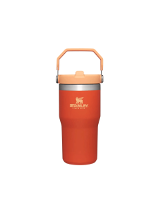 Vaso Flip Straw Tumb Alpne 591ml Verde 10-09994-172 Stanley