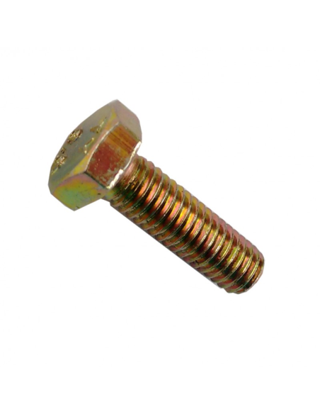 Bulon Hexagonal G5 Whitworth Dorado 1/4x1/2