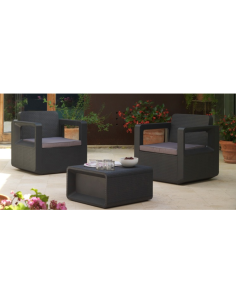 Set Living Jardin 2 Sillones + 1 Mesa Centro  Setvenus 2