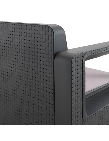 Set Living Jardin 2 Sillones + 1 Mesa Centro  Setvenus