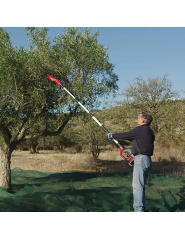 Cosechador Olivos Inalambrico Ge-fs 18/53 Li-solo 3411400 Einhell