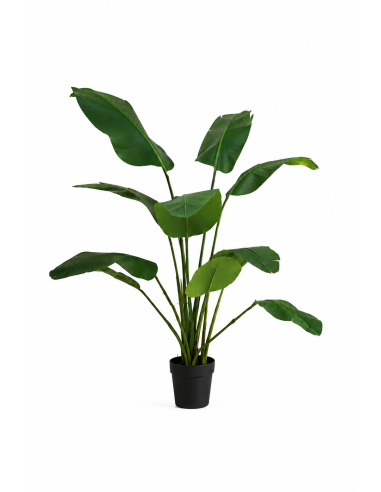 Planta Artificial Palmera Nicolai 159 Cm 90380 Greenland