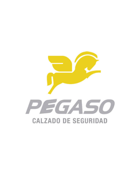 Botin Prusiano Cuero Box Pvc 1040 N 40 Pegasso