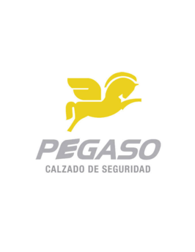 Botin Prusiano Cuero Box Pvc 1040 N 44 Pegasso