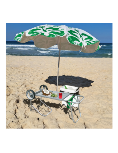 Carro Mesa De Playa De Aluminio Con Accesorios Car0660 Botafogo