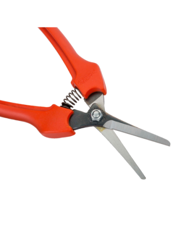 Tijera De Recoleccion Y Vendimia De 6mm Con Mango De Fibra De Vidrio 190mm En Angulo De 11 P129-19-bulk30 Bahco